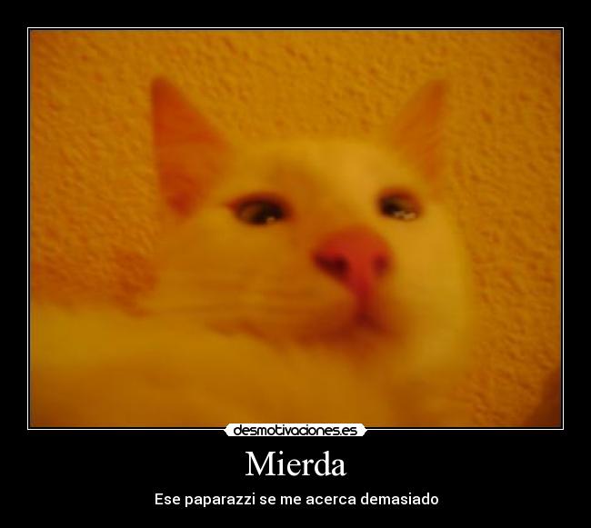 Mierda -