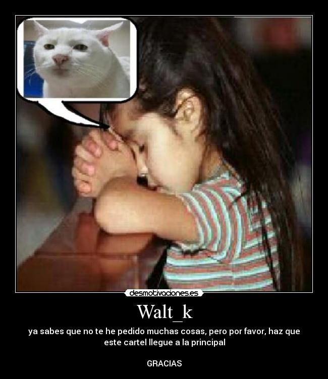 Walt_k -