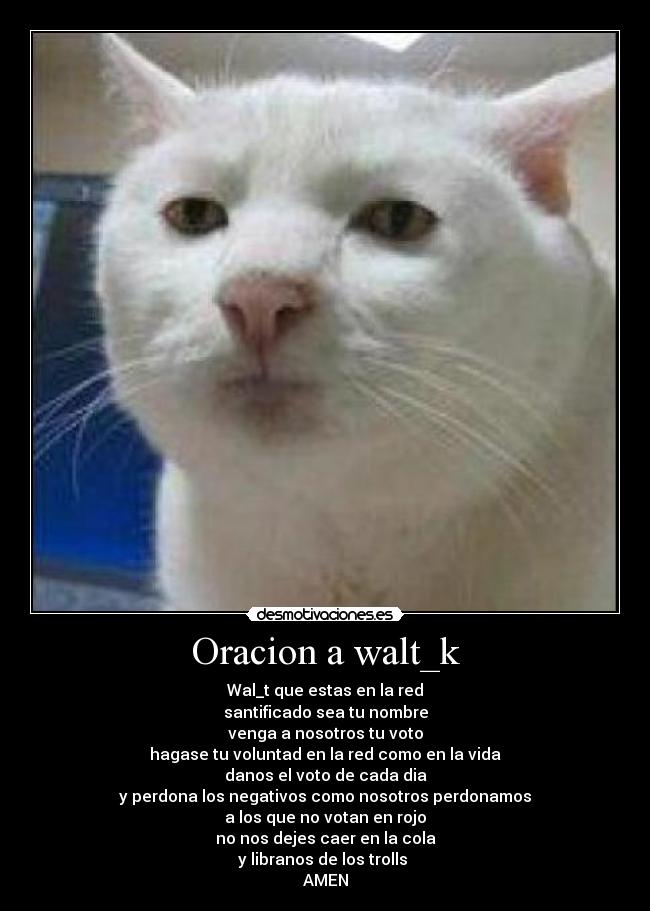Oracion a walt_k -
