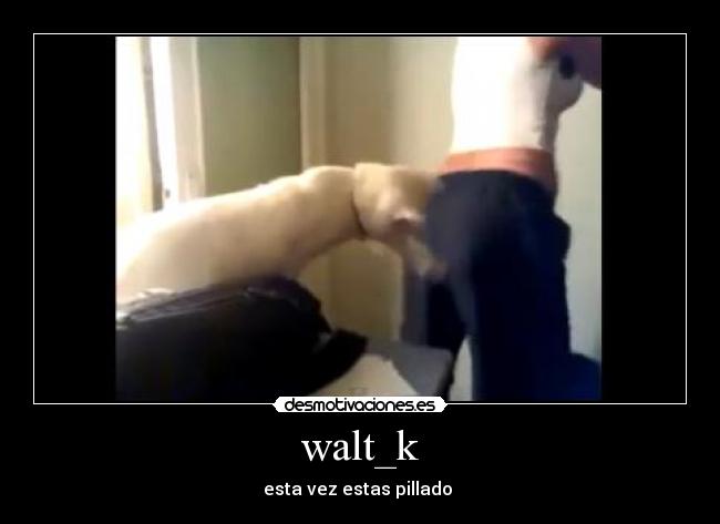 walt_k -