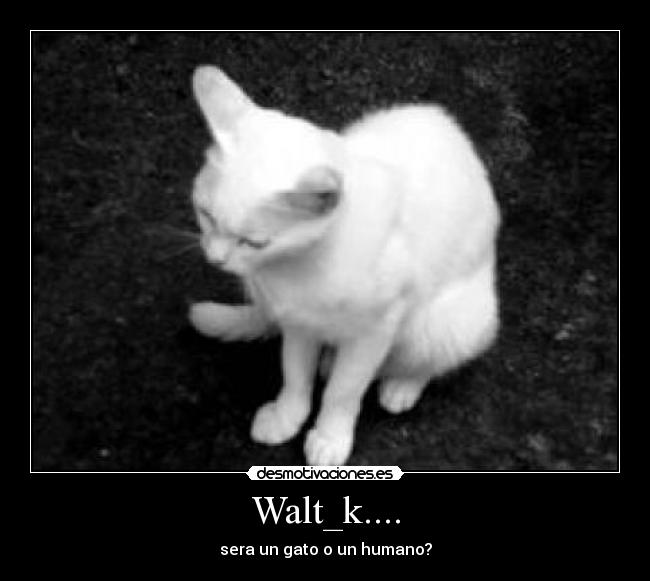 Walt_k.... -
