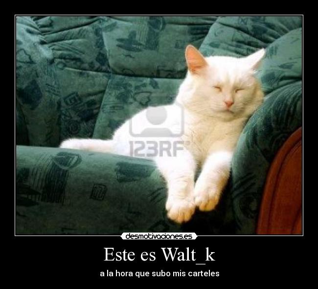 Este es Walt_k -