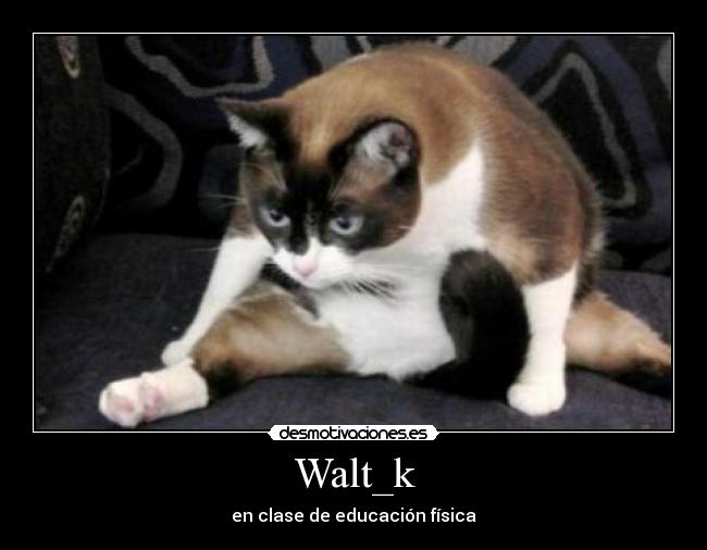 Walt_k -