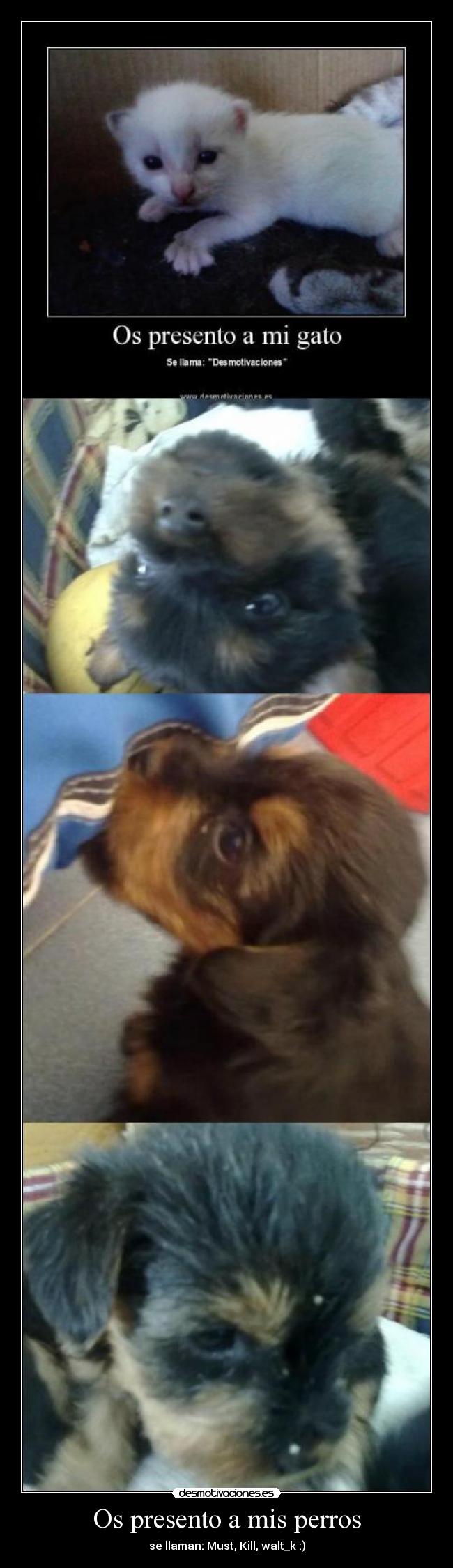 Os presento a mis perros - 