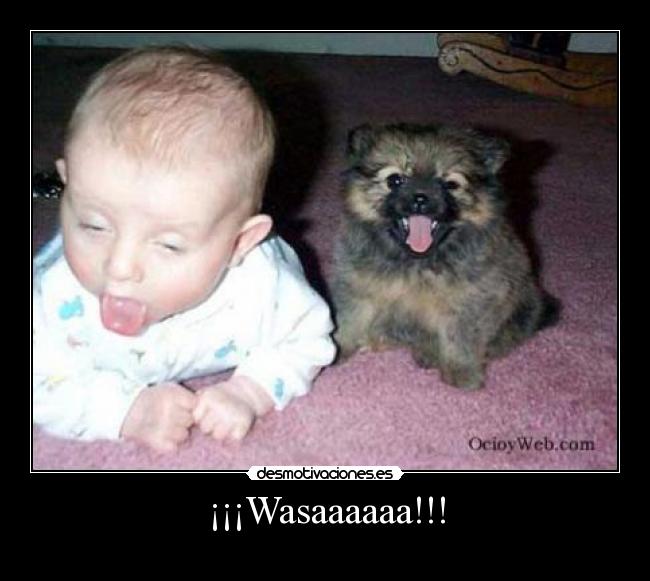 ¡¡¡Wasaaaaaa!!! -