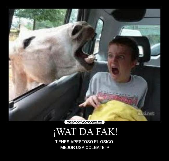 ¡WAT DA FAK! - 