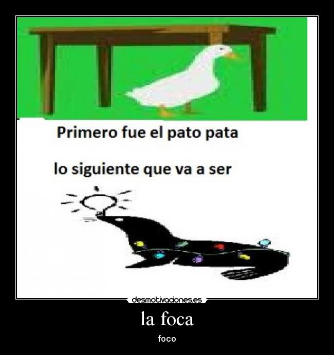 la foca -