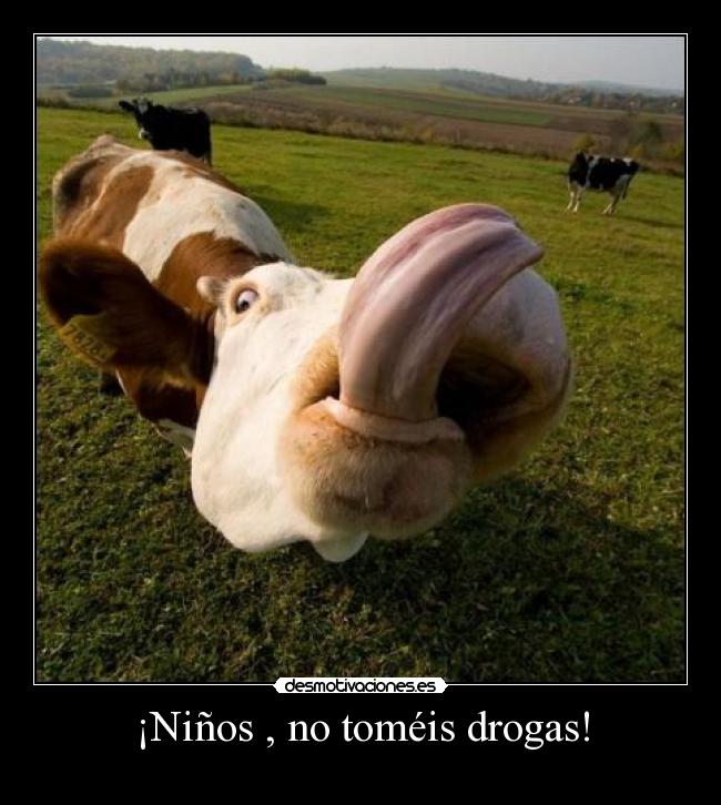 ¡Niños , no toméis drogas! -