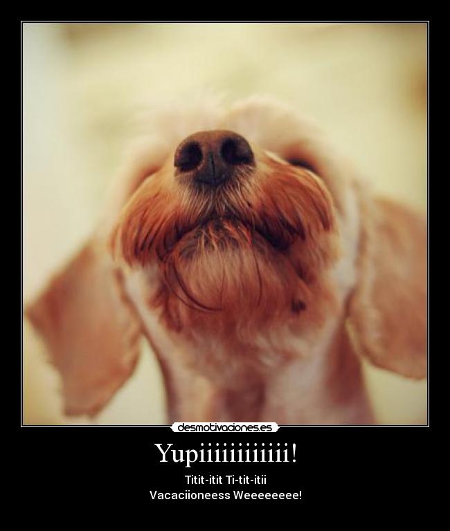 Yupiiiiiiiiiiii! - Titit-itit Ti-tit-itii
Vacaciioneess Weeeeeeee!
