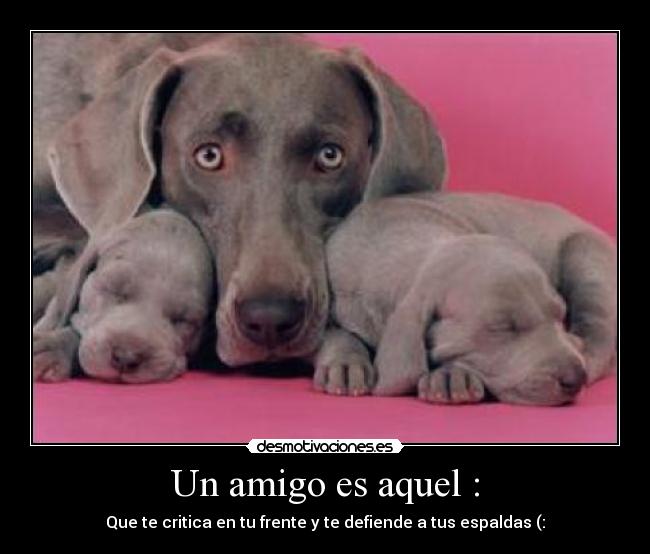 Un amigo es aquel : - 