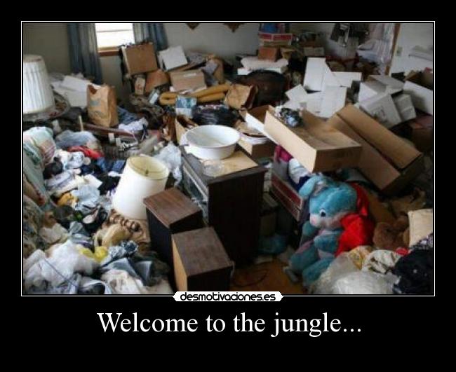 Welcome to the jungle... -