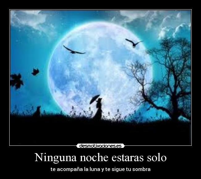 Ninguna noche estaras solo - te acompaña la luna y te sigue tu sombra