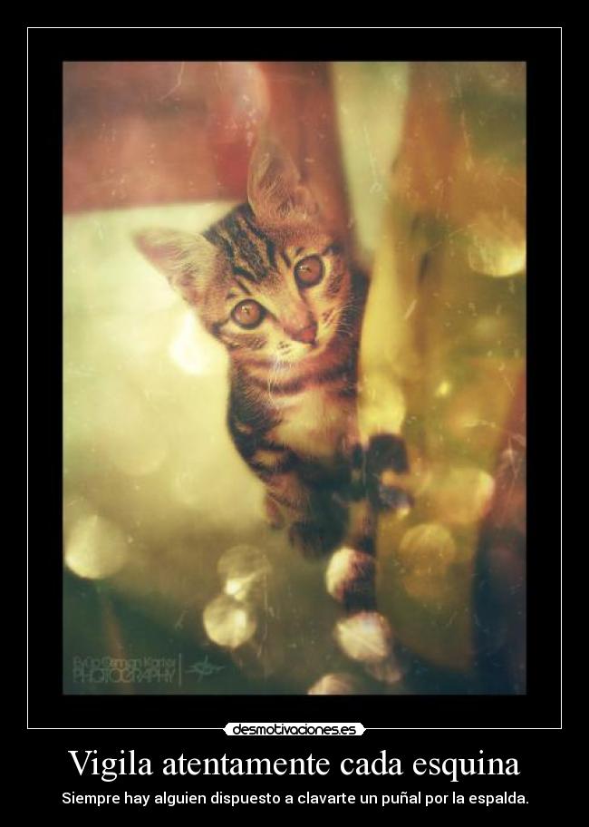 Vigila atentamente cada esquina - 