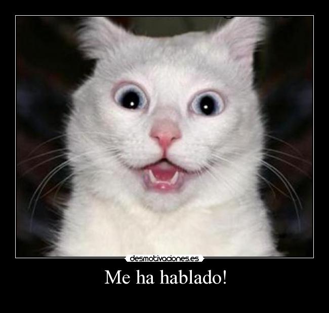Me ha hablado! - 