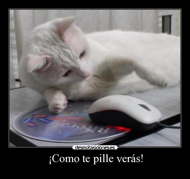 ¡Como te pille verás! -