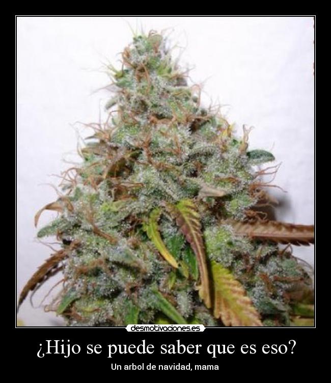 carteles nestor_94 desmotivaciones