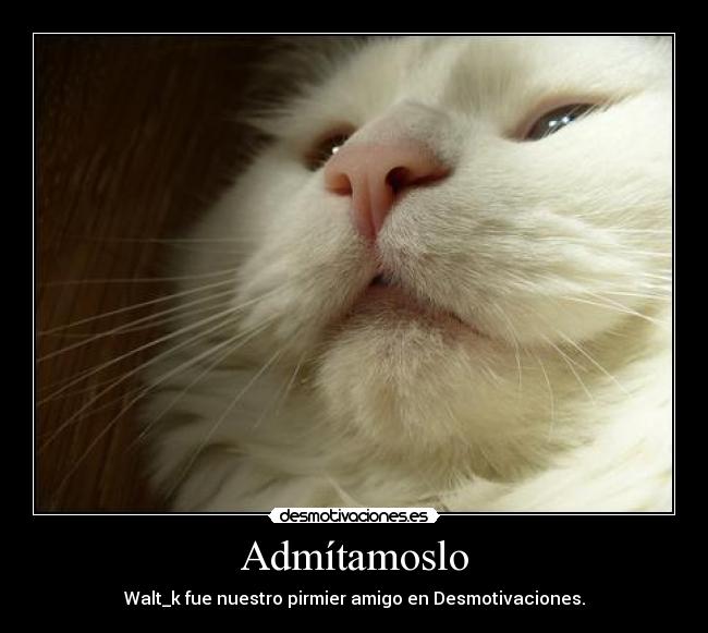 Admítamoslo - Walt_k fue nuestro pirmier amigo en Desmotivaciones.