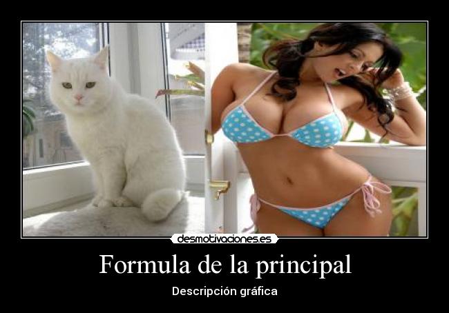 Formula de la principal - Descripción gráfica