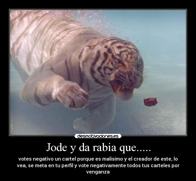 Jode y da rabia que..... -