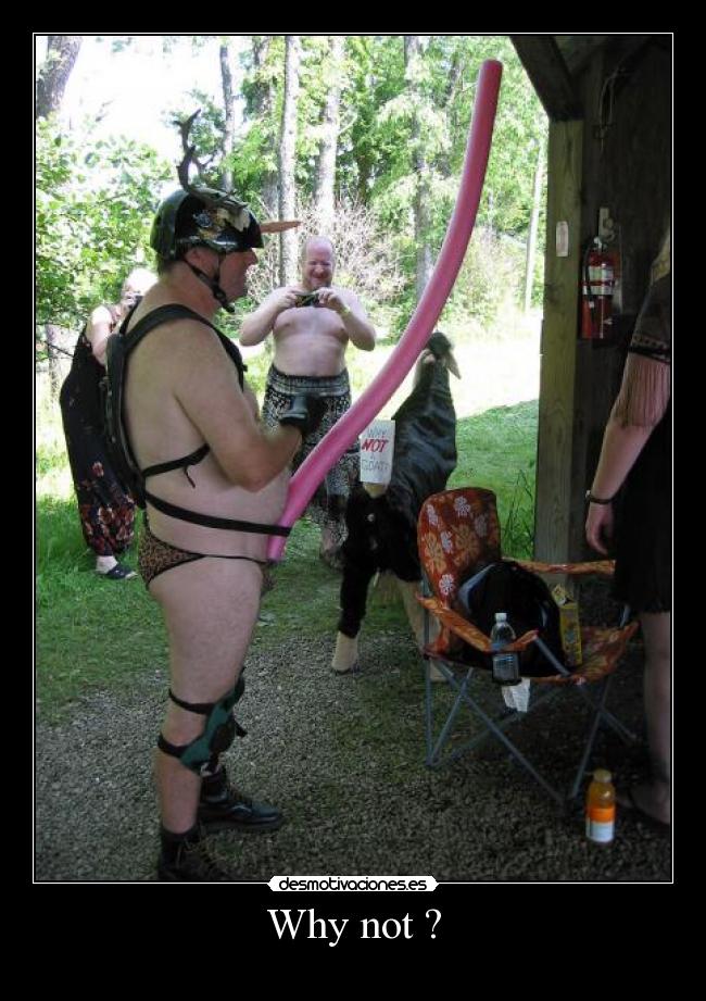 carteles why not desmotivaciones