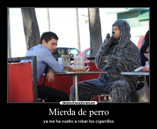 Mierda de perro - ya me ha vuelto a robar los cigarrillos