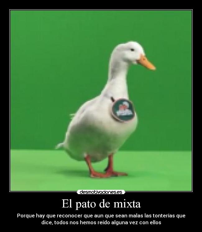 El pato de mixta - Porque hay que reconocer que aun que sean malas las tonterías que
dice, todos nos hemos reído alguna vez con ellos