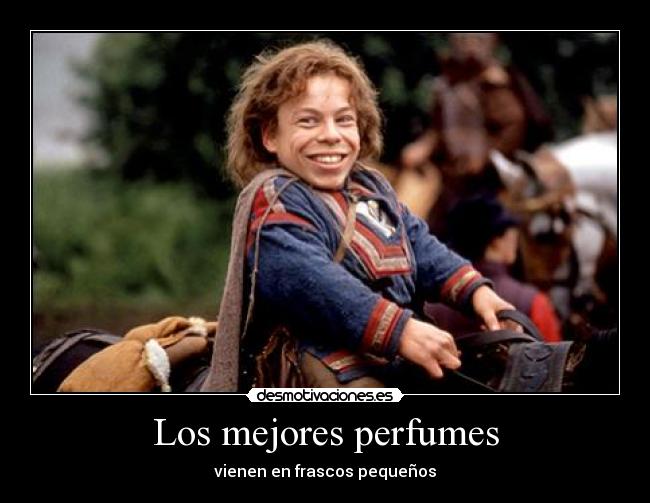 Los mejores perfumes -