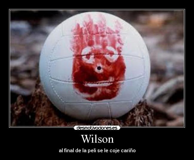 Wilson - 