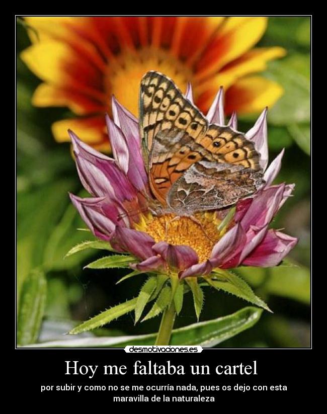 Hoy me faltaba un cartel  - 