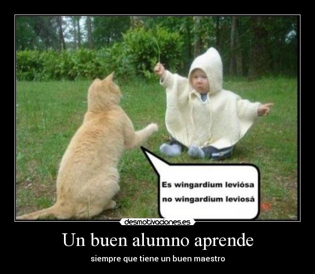 Un buen alumno aprende - 