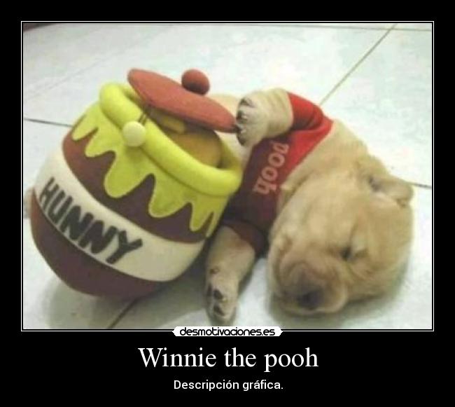 Winnie the pooh - Descripción gráfica.