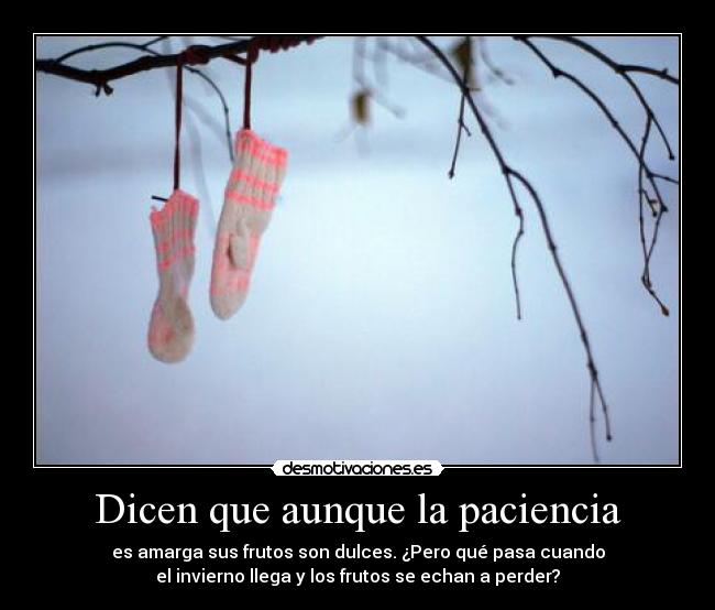 Dicen que aunque la paciencia - es amarga sus frutos son dulces. ¿Pero qué pasa cuando
el invierno llega y los frutos se echan a perder?