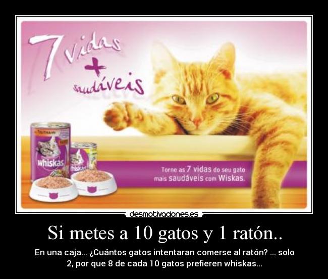 Si metes a 10 gatos y 1 ratón.. -