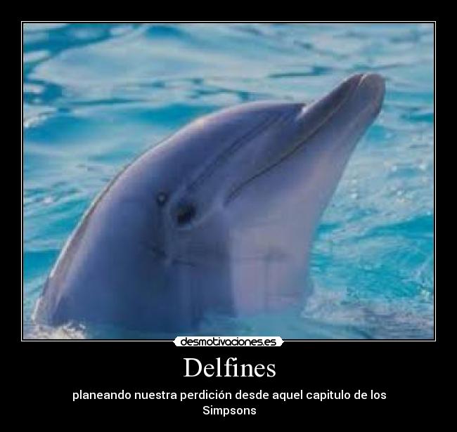 Delfines - planeando nuestra perdición desde aquel capitulo de los
Simpsons