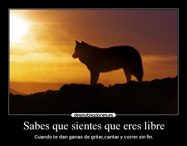 carteles libertad desmotivaciones