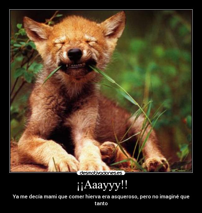 ¡¡Aaayyy!! - Ya me decía mami que comer hierva era asqueroso, pero no imaginé que tanto