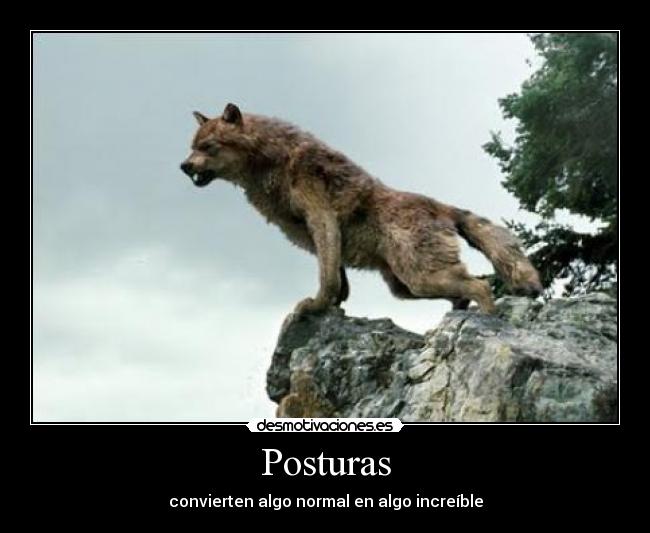 Posturas - 