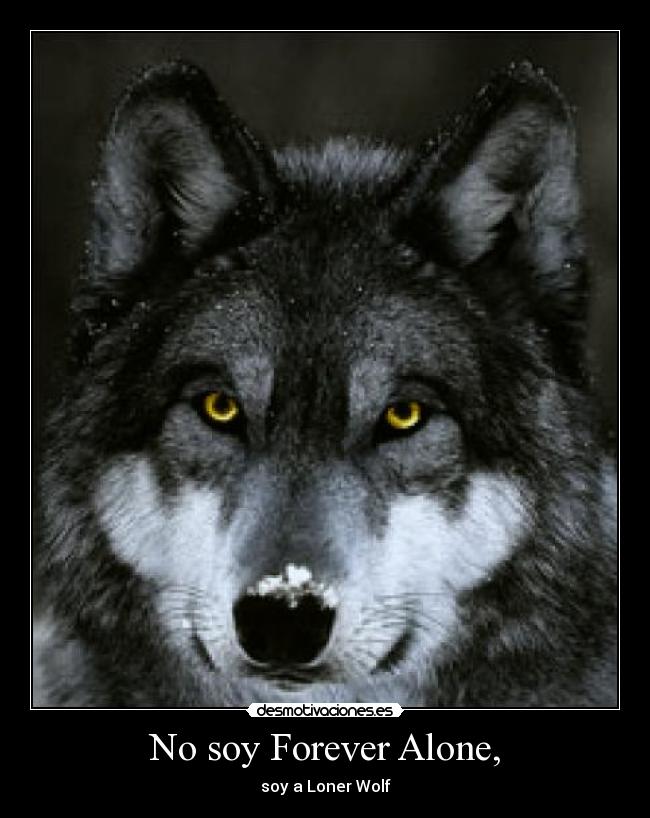 carteles loner wolf desmotivaciones