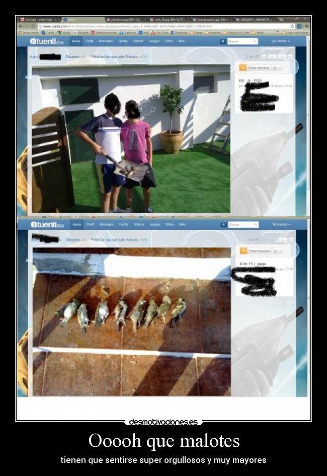Ooooh que malotes -