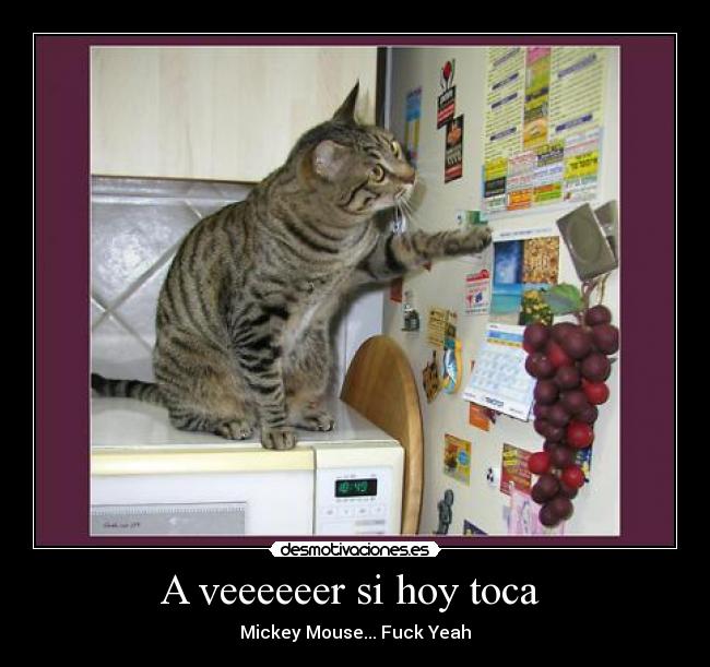 A veeeeeer si hoy toca -