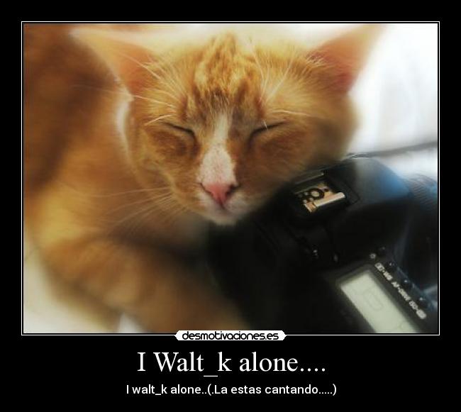 I Walt_k alone.... - 