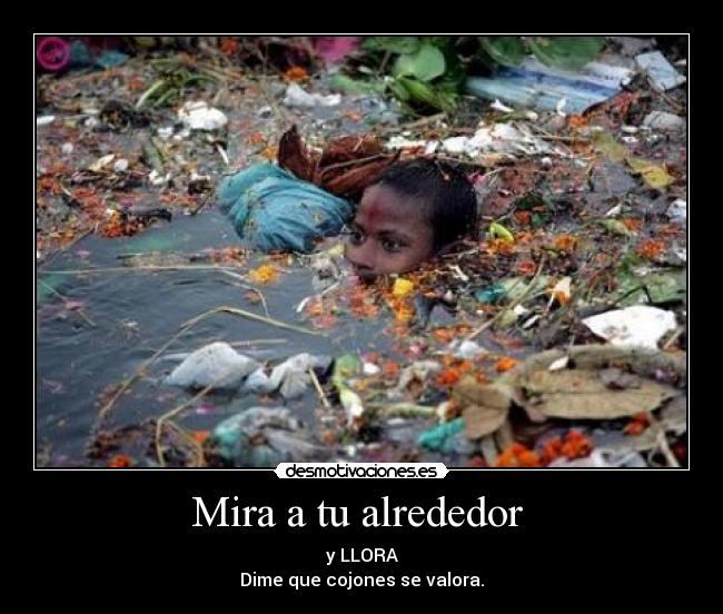 carteles pobreza llora naturaleza destuida nino desmotivaciones