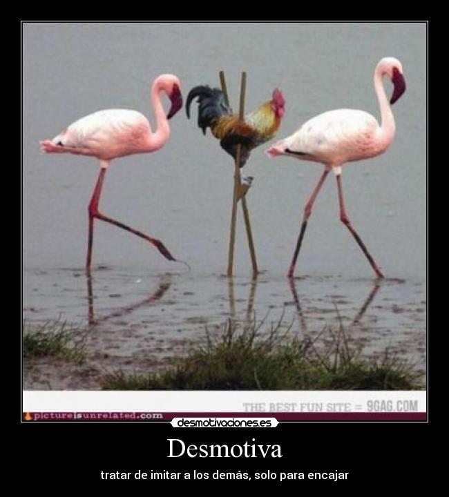 Desmotiva - 