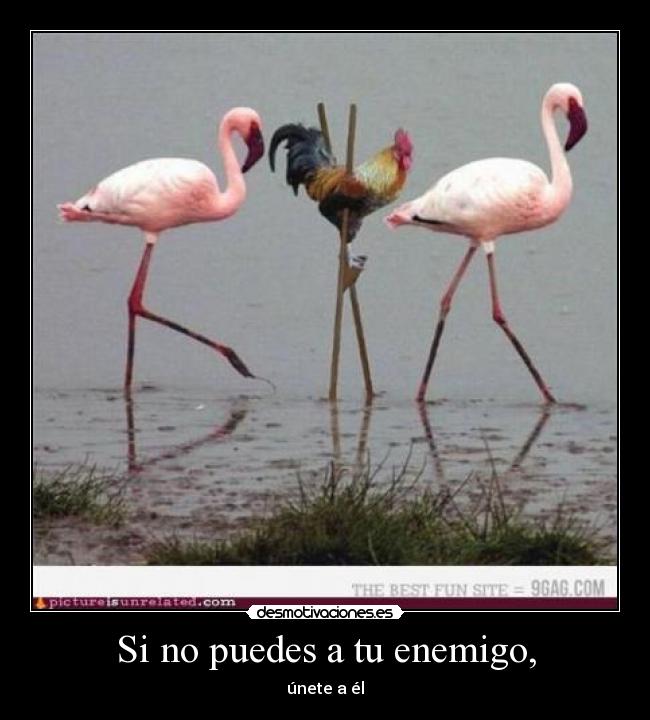 Si no puedes a tu enemigo, - únete a él