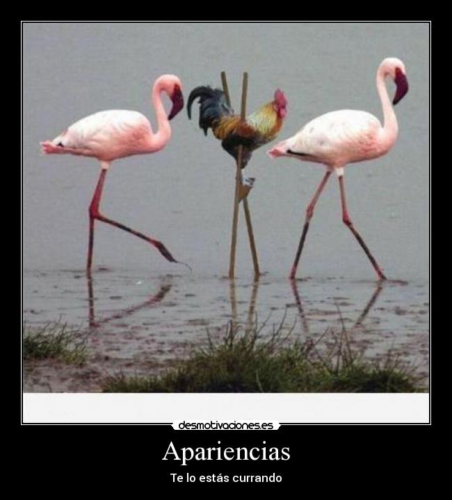 Apariencias - Te lo estás currando