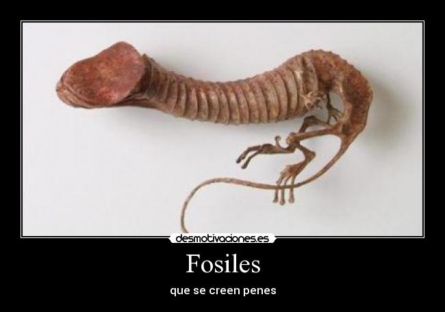 Fosiles - que se creen penes