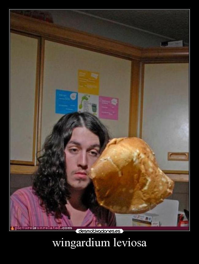 wingardium leviosa - 