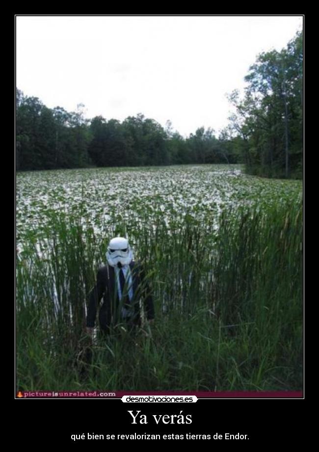 Ya verás - qué bien se revalorizan estas tierras de Endor.