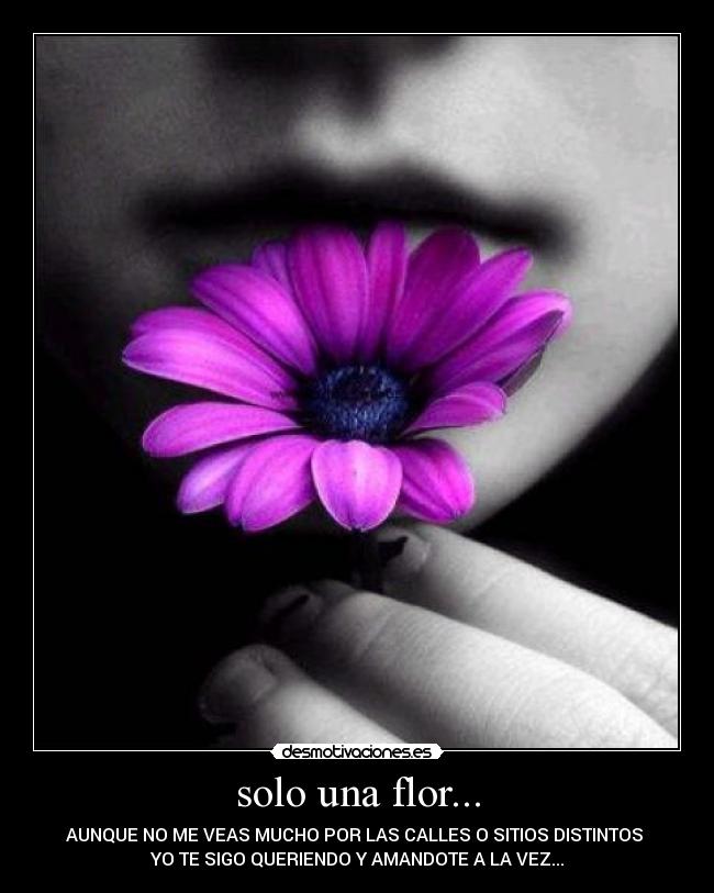 solo una flor... - AUNQUE NO ME VEAS MUCHO POR LAS CALLES O SITIOS DISTINTOS
YO TE SIGO QUERIENDO Y AMANDOTE A LA VEZ...