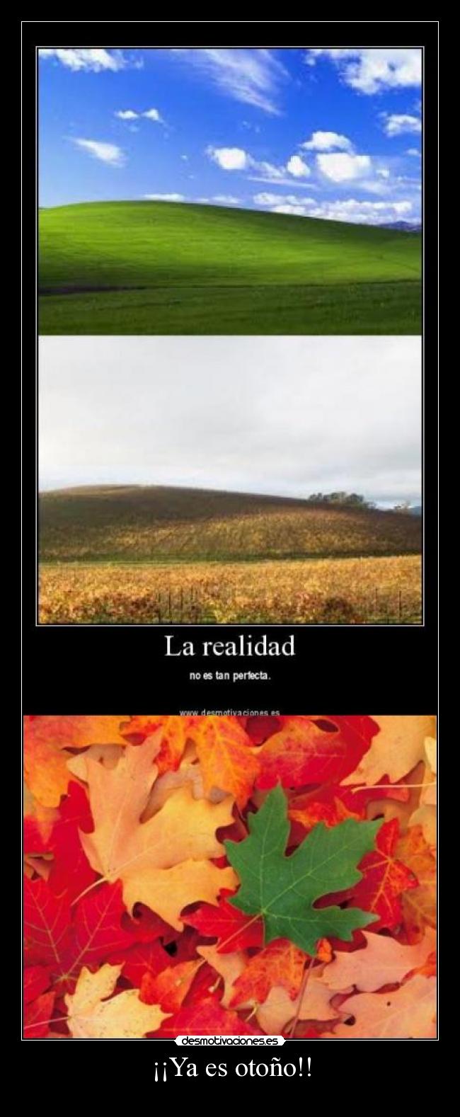 ¡¡Ya es otoño!! -
